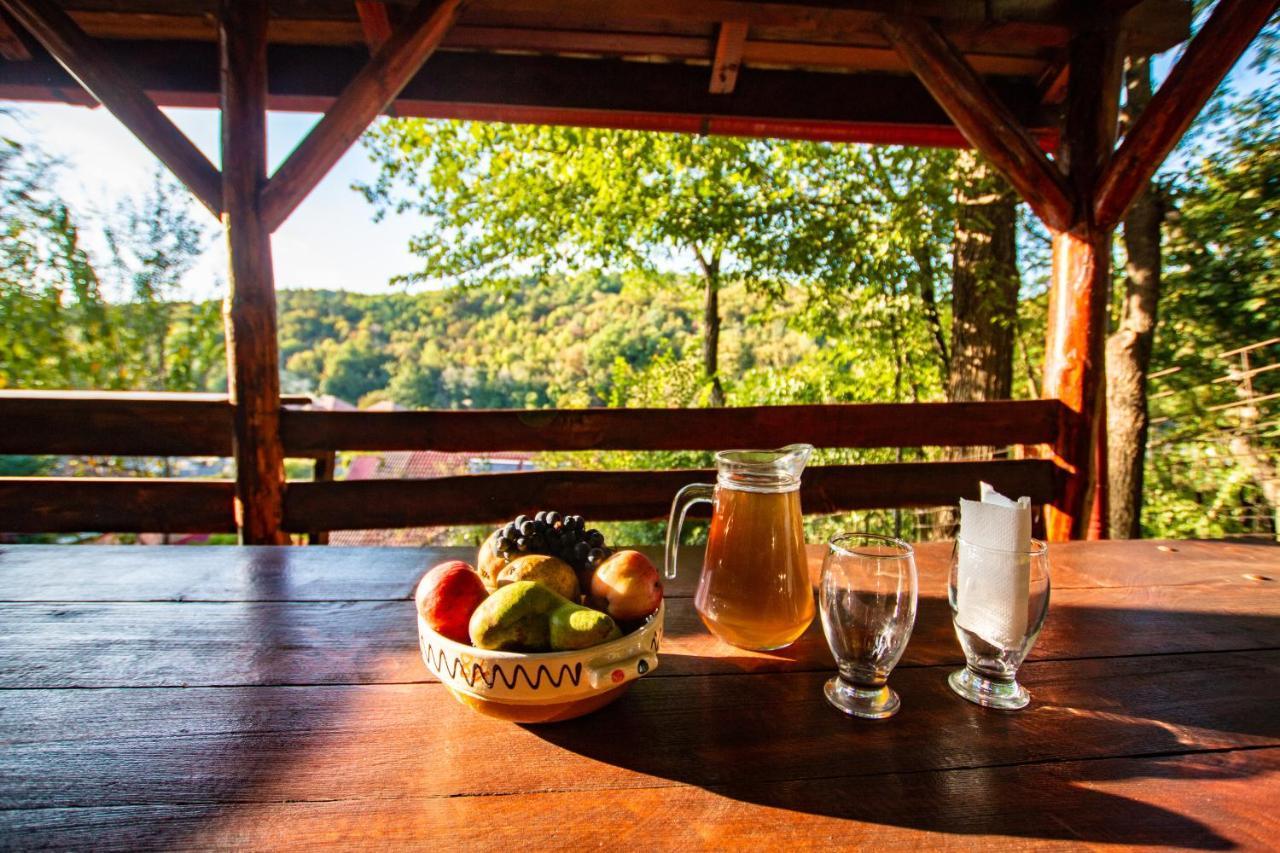 Casa Alba Hotel Baia de Aramă Buitenkant foto