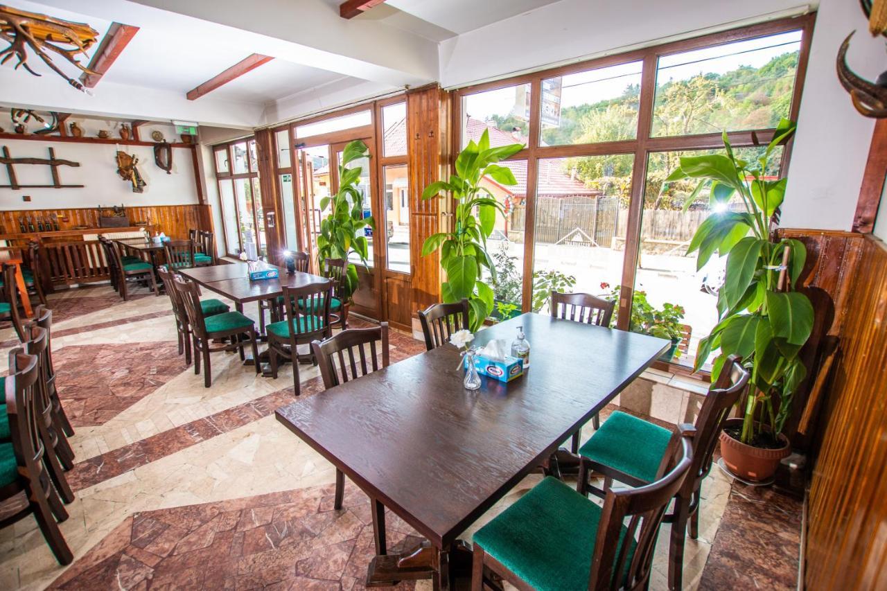 Casa Alba Hotel Baia de Aramă Buitenkant foto