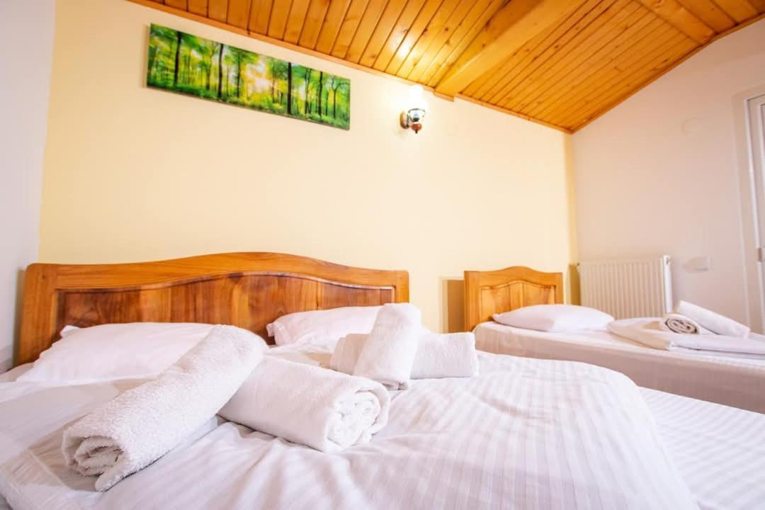 Casa Alba Hotel Baia de Aramă Buitenkant foto